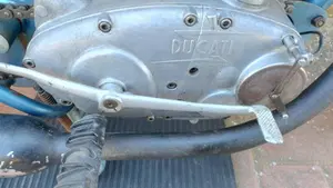 Ducati   (9)