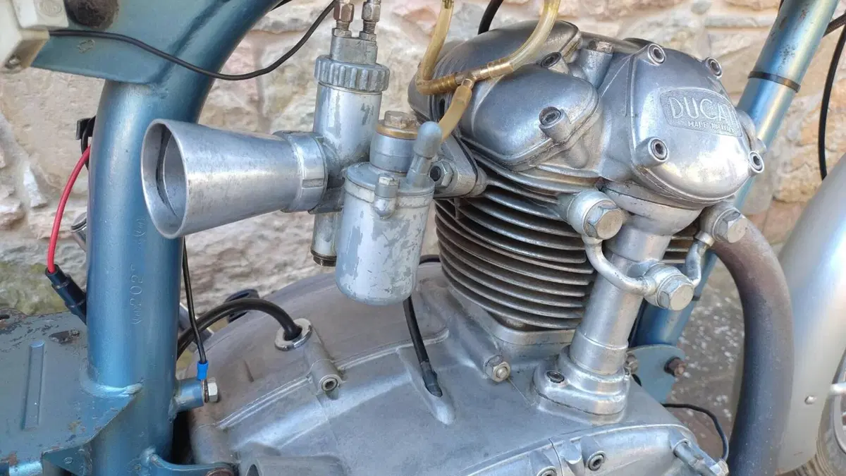 Ducati   (10)