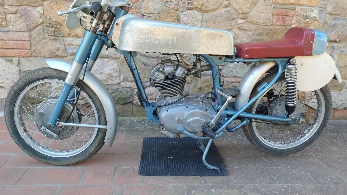 Ducati   (13)