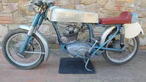 Ducati   (13)