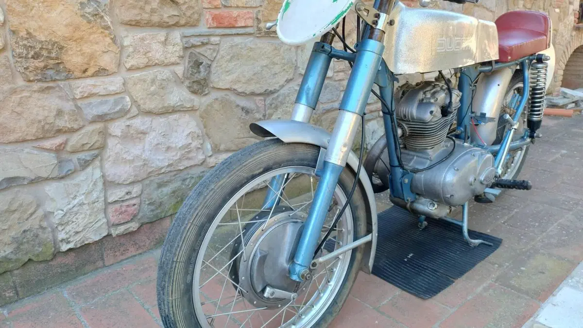 Ducati   (14)