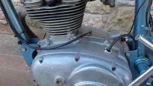 Ducati   (17)