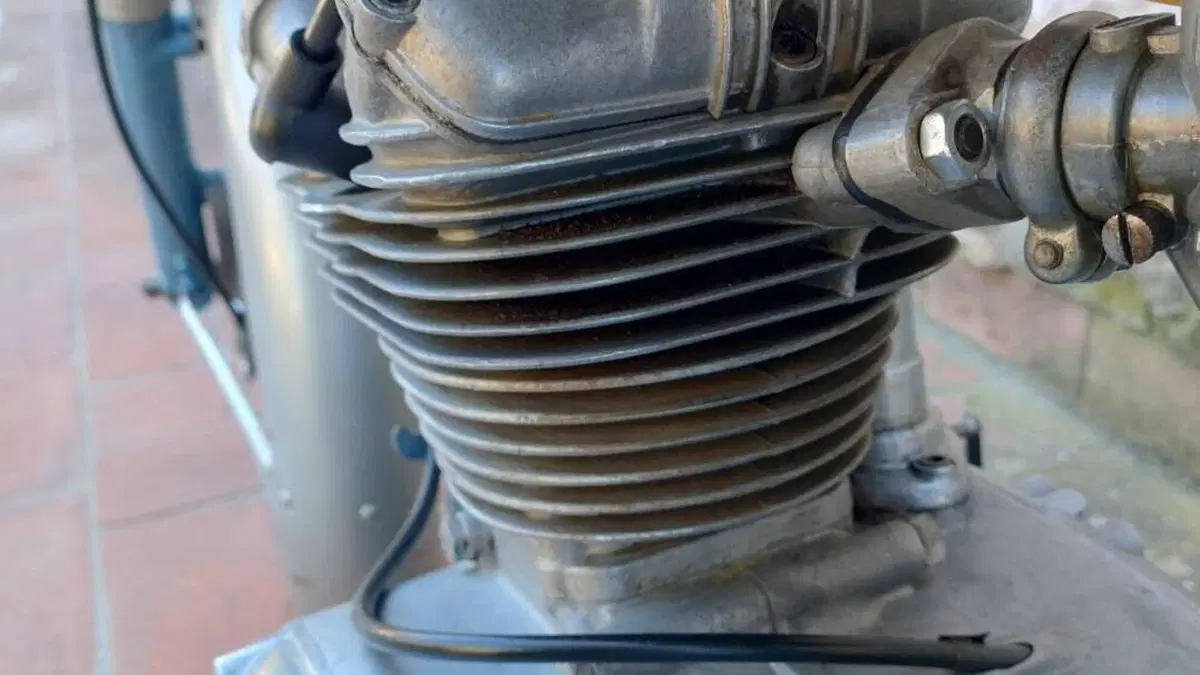 Ducati   (18)