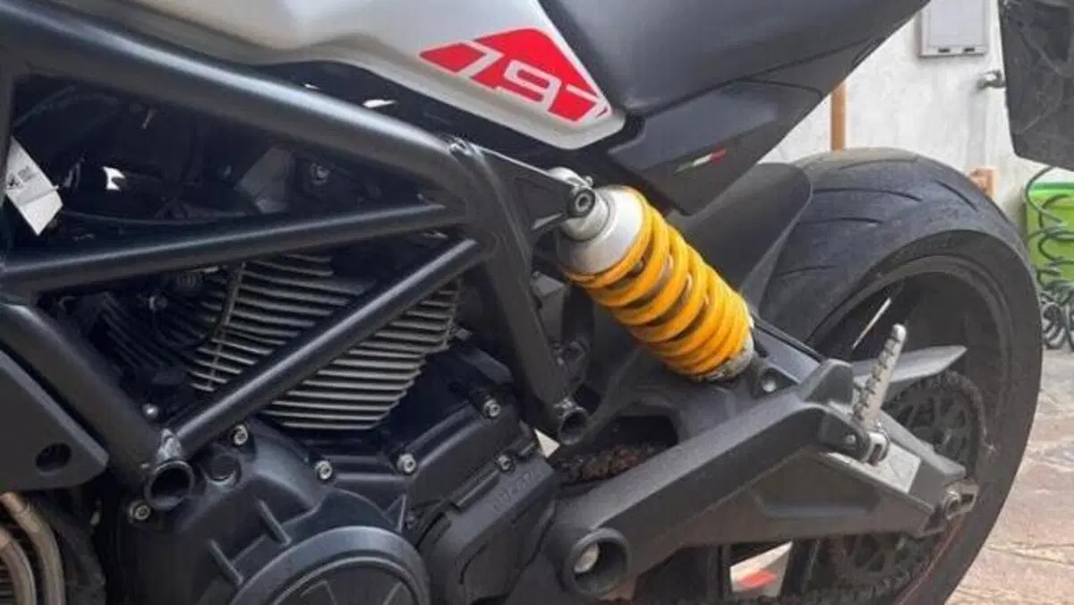 Ducati Monster 797 (2019 - 20)  (5)