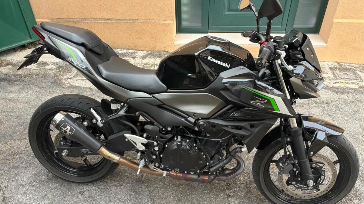 Kawasaki Z 500 (2024 - 26)  (2)