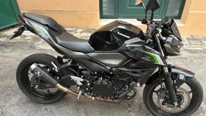 Kawasaki Z 500 (2024 - 26)  (2)