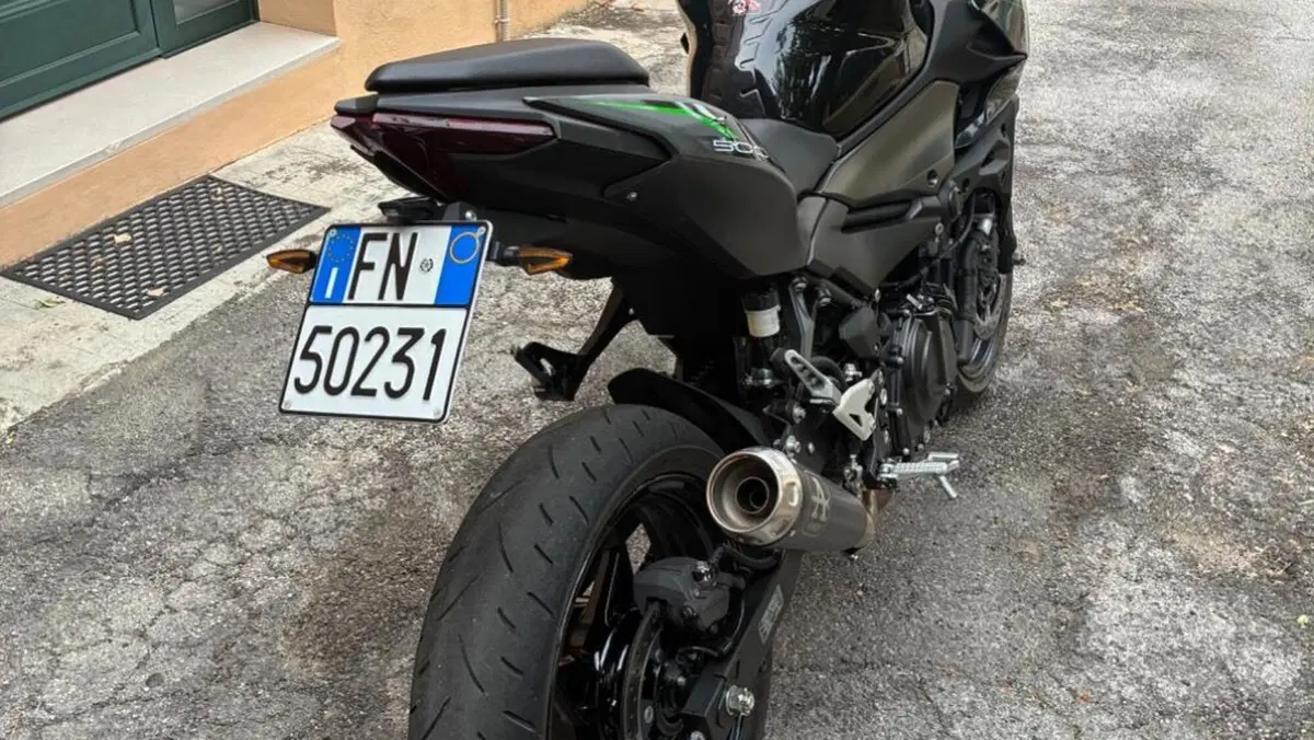 Kawasaki Z 500 (2024 - 26)  (3)