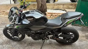 Kawasaki Z 500 (2024 - 26)  (4)