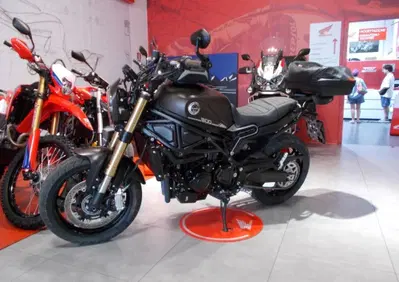 Benelli Leoncino 800 (2022 - 26) - Annuncio 10070178