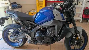 Yamaha MT-09 (2021 - 23)  (3)