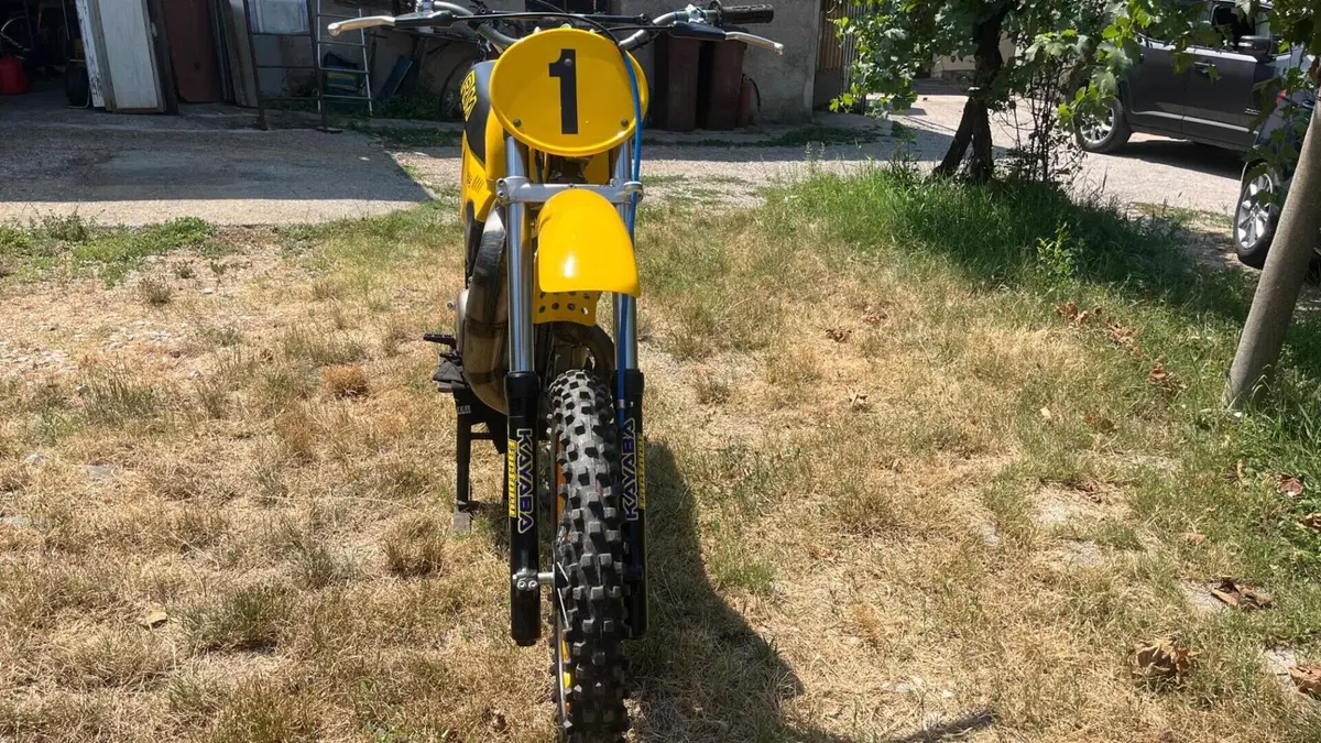 Suzuki   (2)
