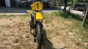 Suzuki   (2)