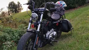 Harley-Davidson 1200 Forty-Eight Special (2018 - 20)  (5)