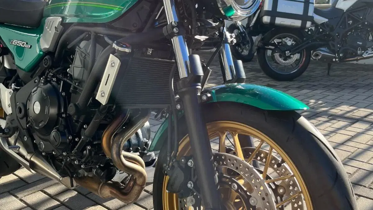 Kawasaki Z 650 RS (2022 - 24)  (5)