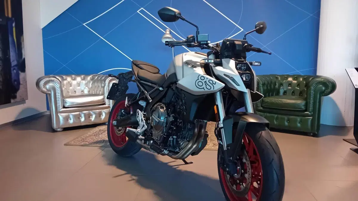 Suzuki GSX-8S (2025 - 26)  (2)