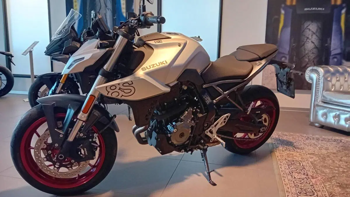 Suzuki GSX-8S (2025 - 26)  (4)