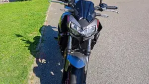 Kawasaki Z 650 (2021 - 24)  (3)
