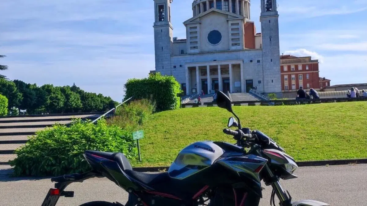 Kawasaki Z 650 (2021 - 24)  (5)