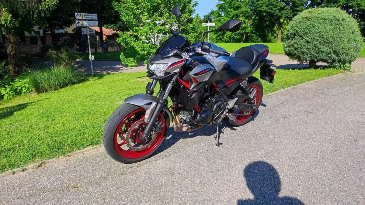 Kawasaki Z 650 (2021 - 24)  (6)