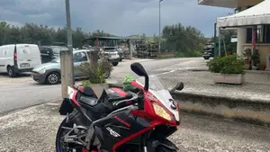 Aprilia RS 125 (2006 - 14) 