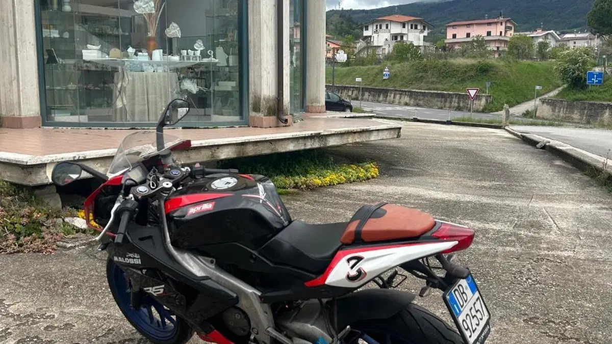 Aprilia RS 125 (2006 - 14)  (4)