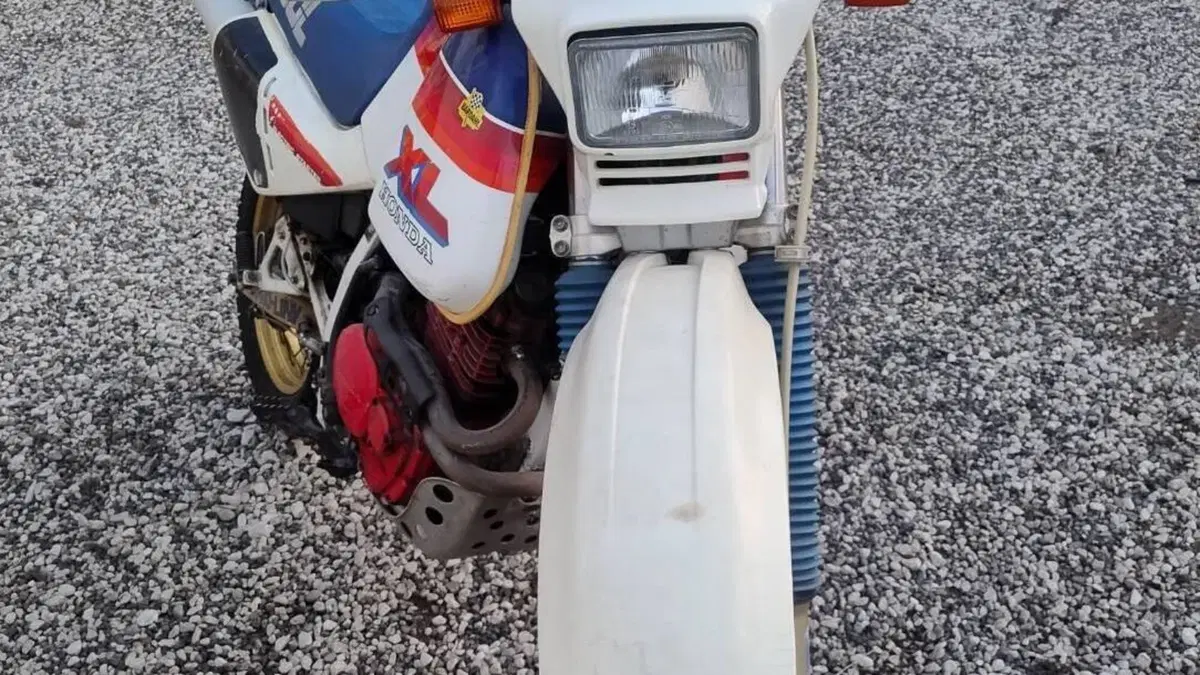 Honda XL 600 LM (1985 - 89)  (7)