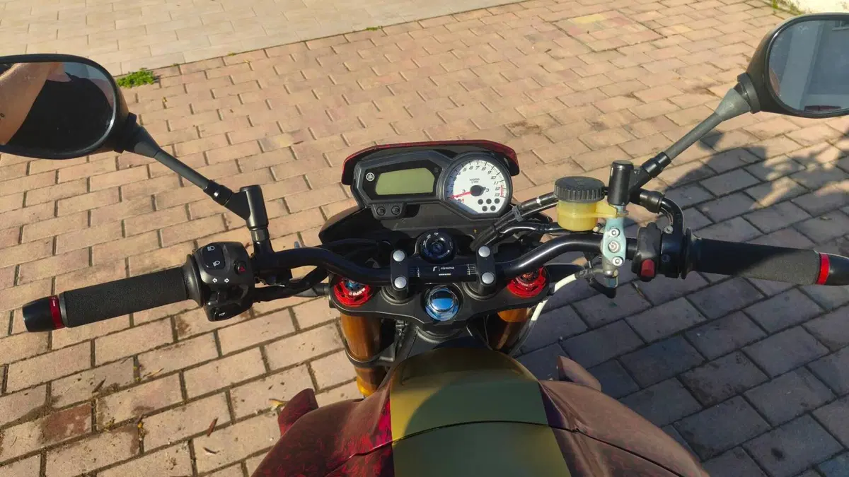 Yamaha FZ8 (2010 - 12)  (9)