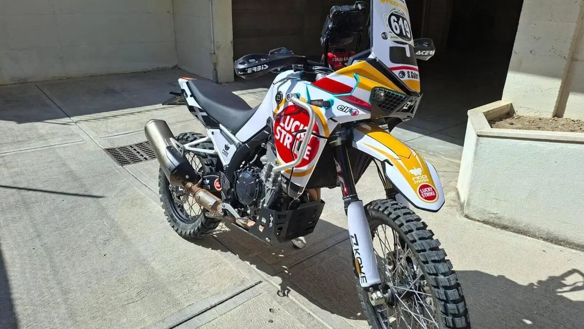 Kove 800 Rally (2025 - 26) 
