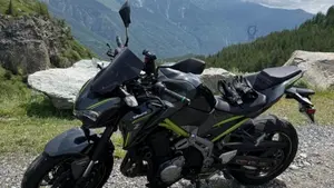 Kawasaki Z 900 (2017 - 18)  (3)