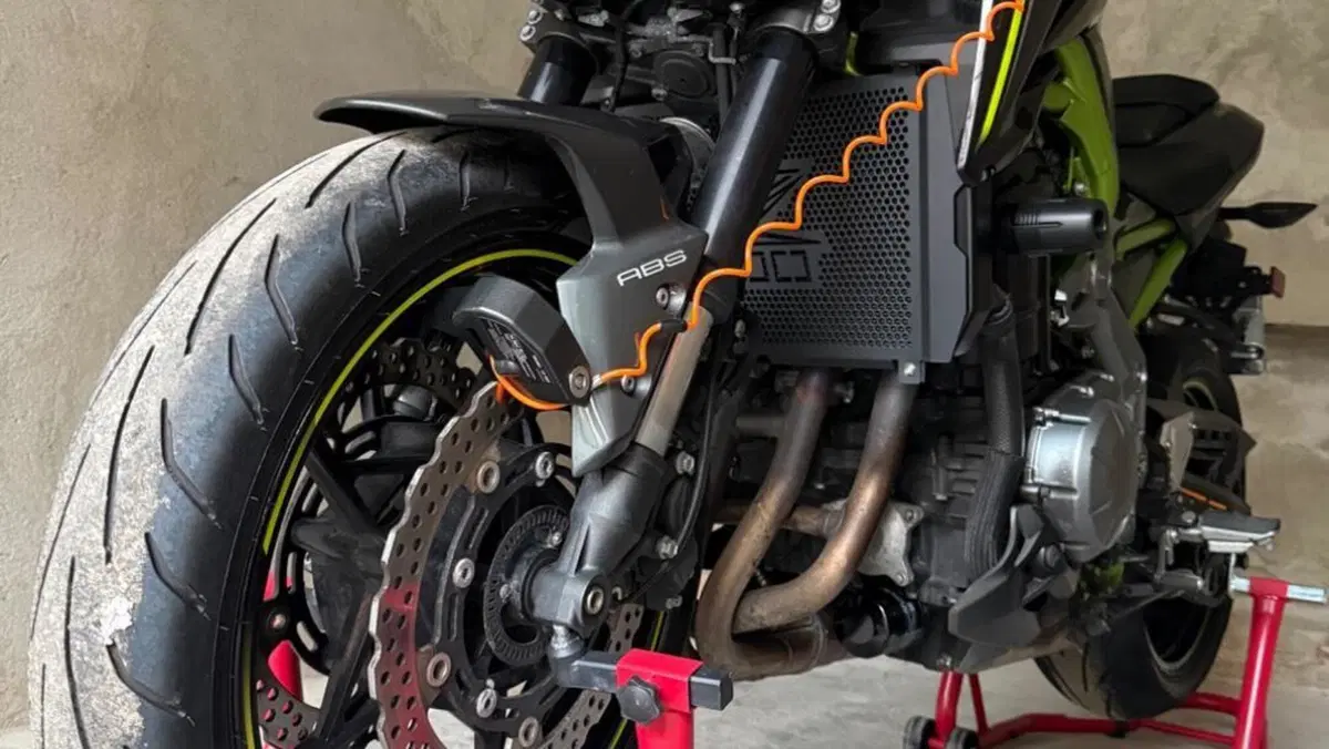 Kawasaki Z 900 (2017 - 18)  (6)