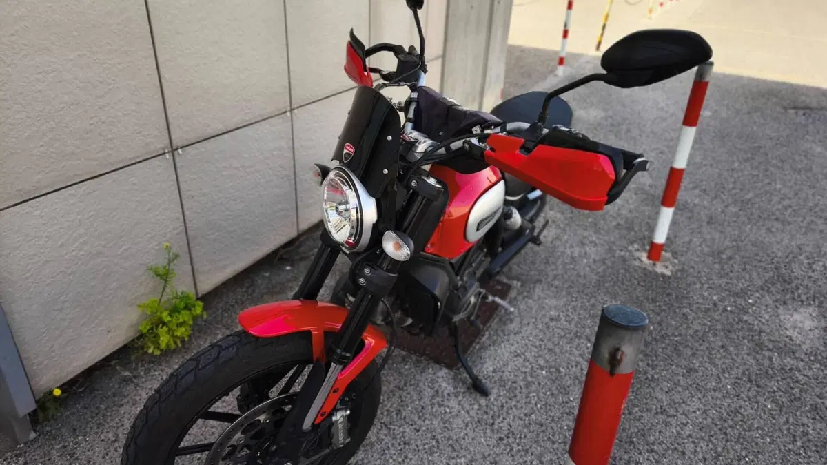 Ducati Scrambler 800 Icon (2015 - 16)  (2)
