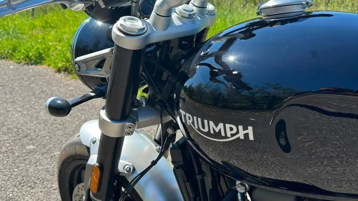 Triumph Speed Twin 1200 (2021 - 24)  (4)