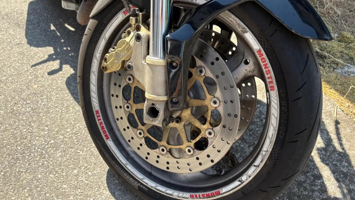 Ducati Monster 620 I.E. Dark (2002)  (7)