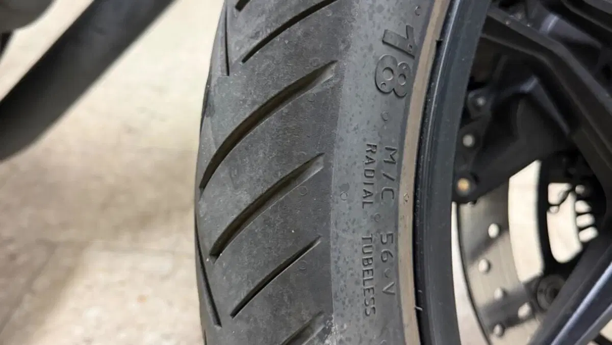 Moto Guzzi V7 III Stone Night Pack (2019 - 20)  (7)