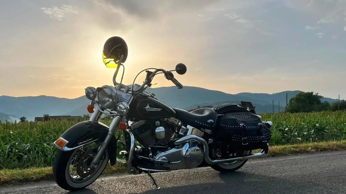 Harley-Davidson 1690 Heritage Classic (2011 - 17) - FLSTC  (2)