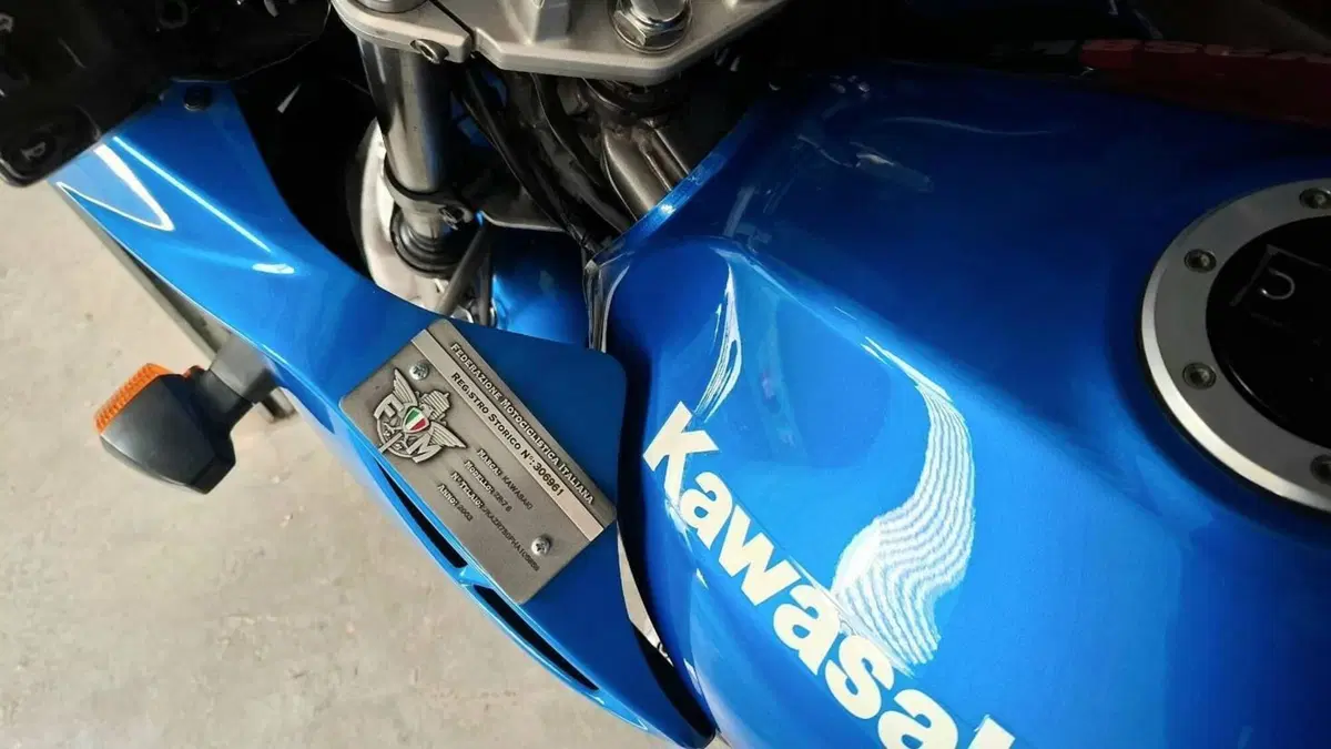 Kawasaki ZR 7S  (8)