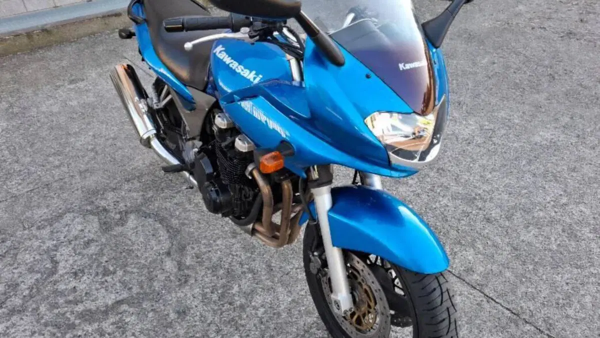 Kawasaki ZR 7S  (13)