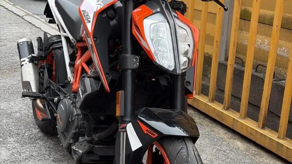 KTM 390 Duke ABS (2017 - 20)  (2)