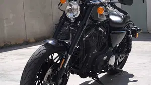 Harley-Davidson XL 1200 CX Roadster (2016 - 18)  (5)