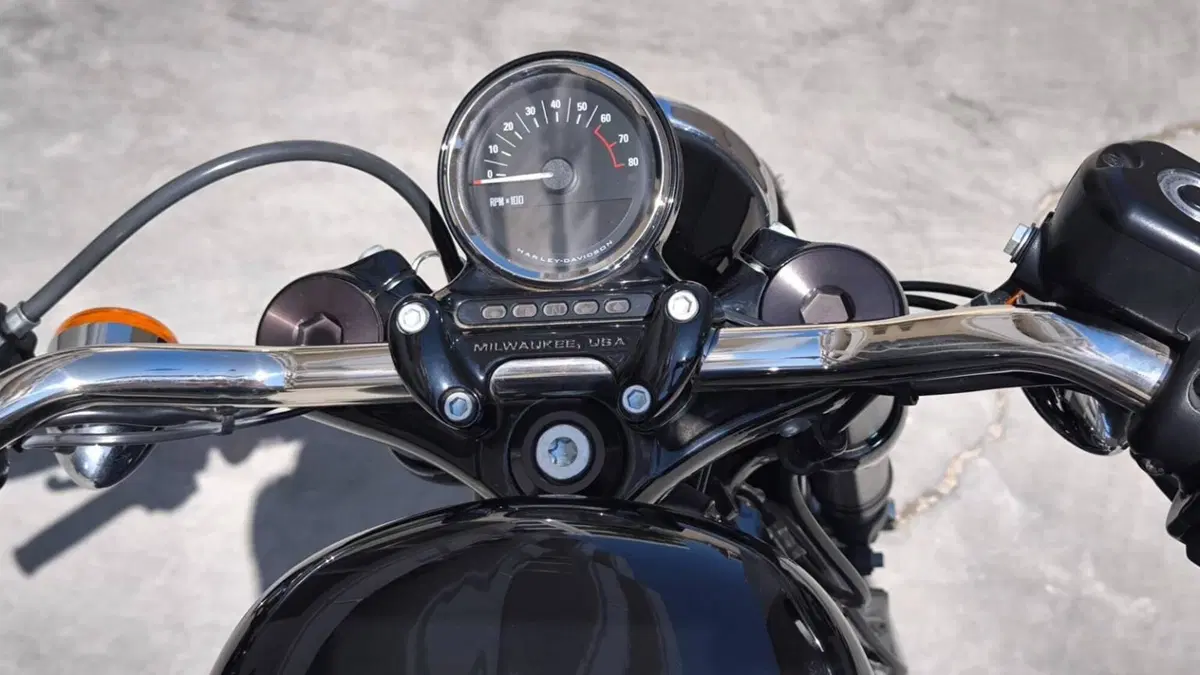 Harley-Davidson XL 1200 CX Roadster (2016 - 18)  (6)