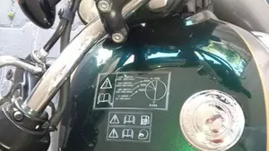 Triumph Bonneville T100 Gold Line Edition (2022)  (4)