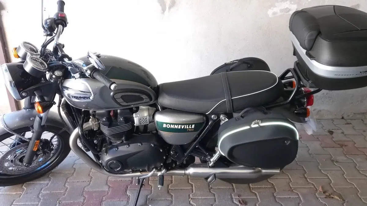 Triumph Bonneville T100 Gold Line Edition (2022)  (6)
