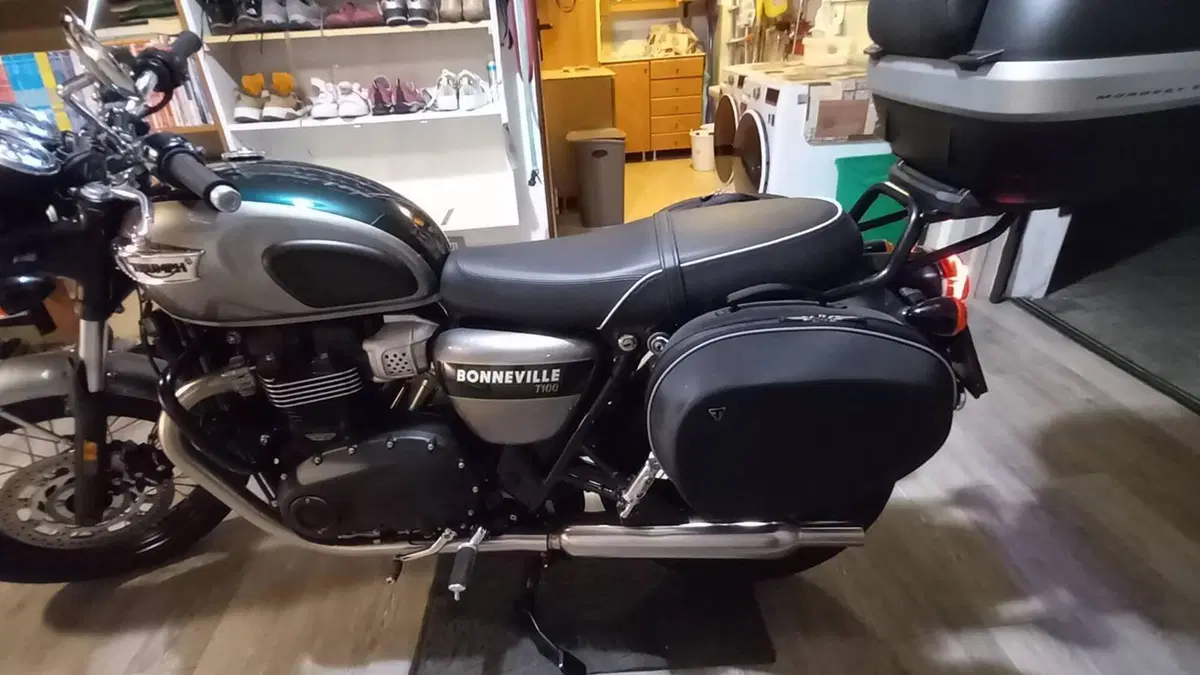 Triumph Bonneville T100 Gold Line Edition (2022)  (11)