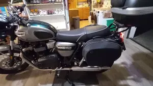Triumph Bonneville T100 Gold Line Edition (2022)  (11)