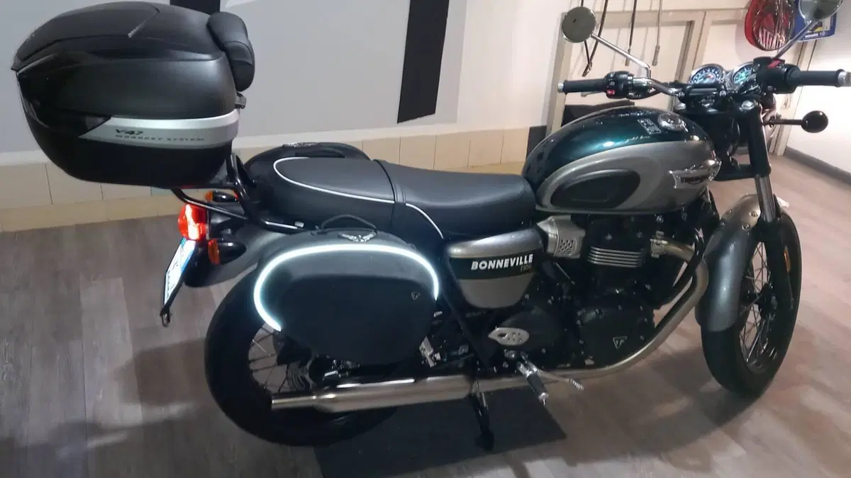 Triumph Bonneville T100 Gold Line Edition (2022)  (12)