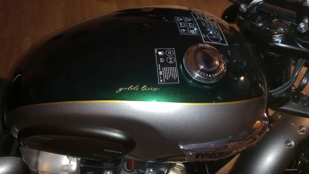 Triumph Bonneville T100 Gold Line Edition (2022)  (13)
