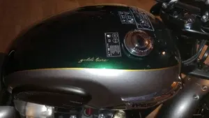 Triumph Bonneville T100 Gold Line Edition (2022)  (13)