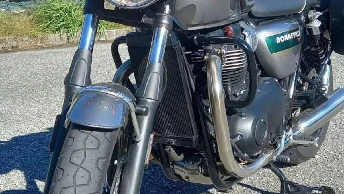 Triumph Bonneville T100 Gold Line Edition (2022)  (14)