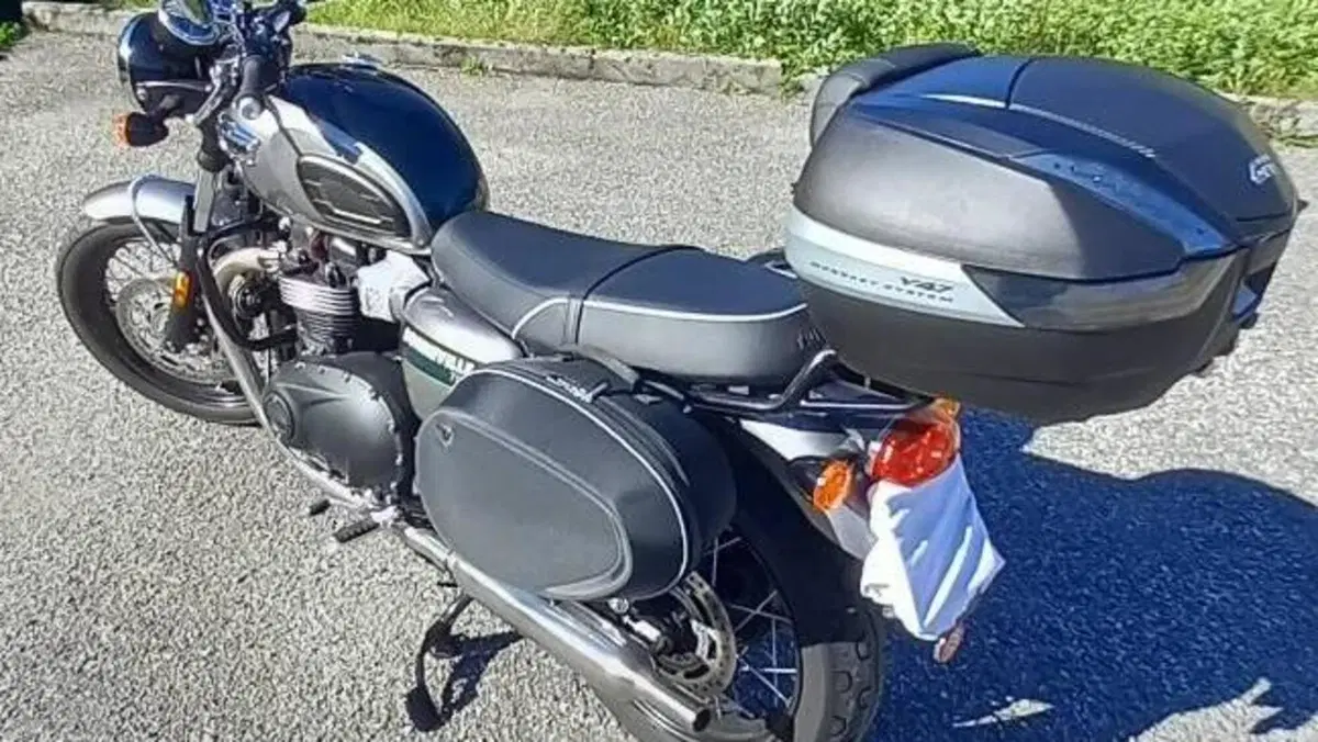 Triumph Bonneville T100 Gold Line Edition (2022)  (15)