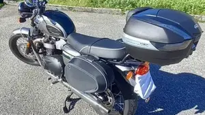Triumph Bonneville T100 Gold Line Edition (2022)  (15)